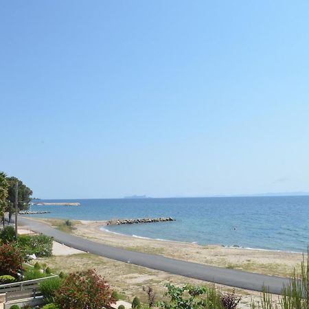 Lemon Beach Front Apartment, Nikiti Zewnętrze zdjęcie