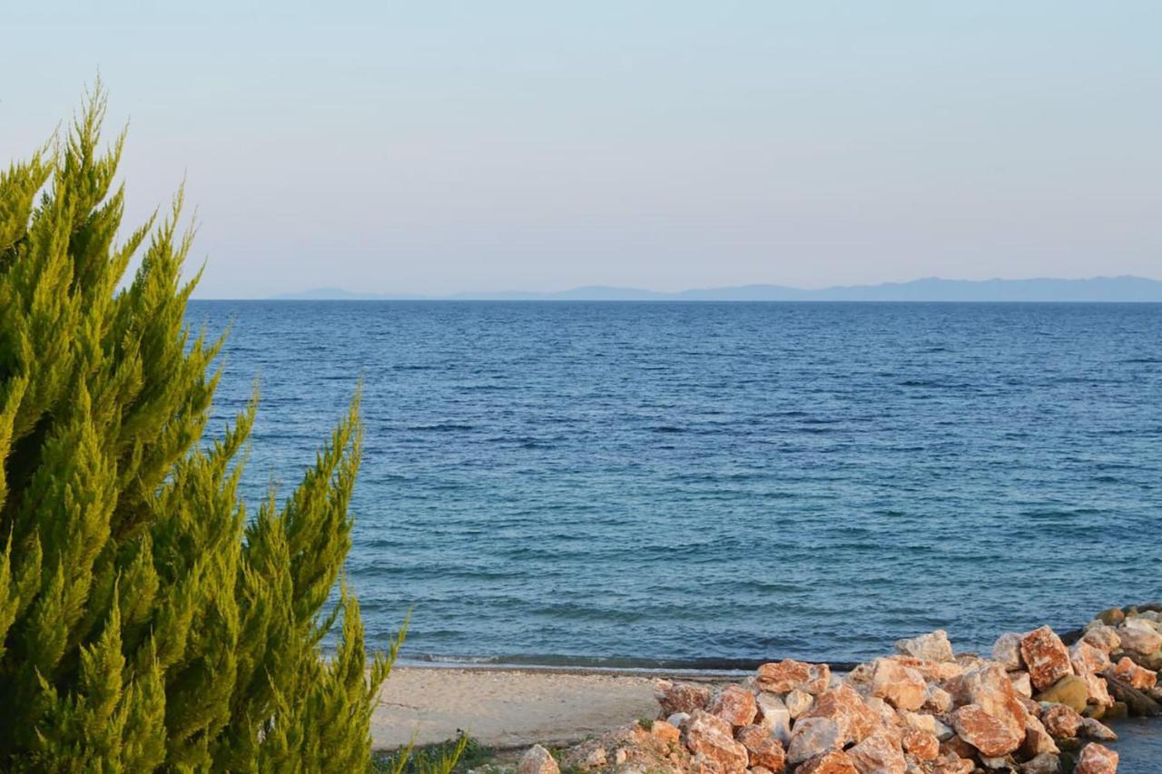 Lemon Beach Front Apartment, Nikiti Zewnętrze zdjęcie