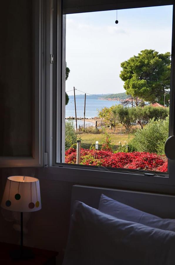 Lemon Beach Front Apartment, Nikiti Zewnętrze zdjęcie